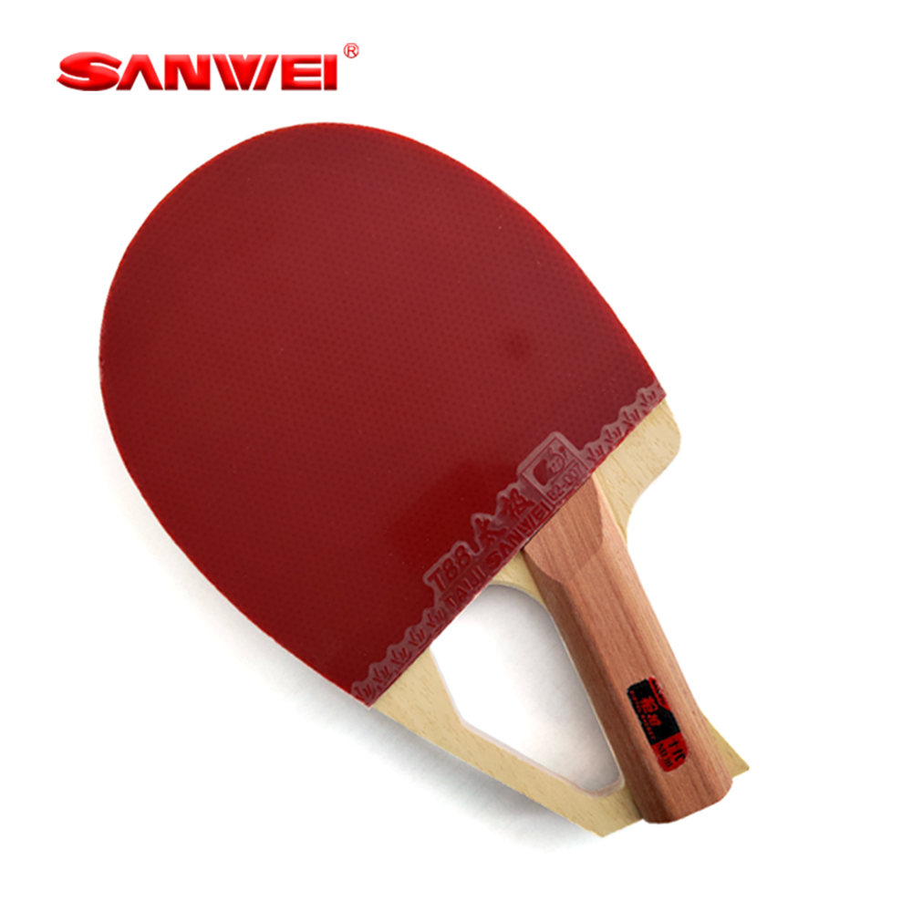 Racchetta da Ping Pong Profess - Table Tennis Racket recensione e prezzo